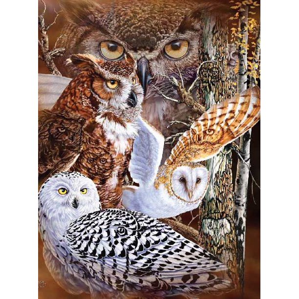 JPI - 11 OWLS - Queen Blanket