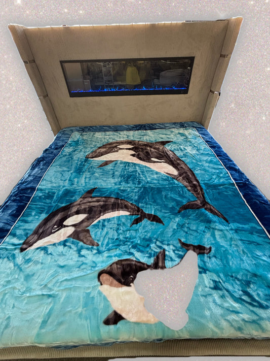 BM121 Solaron Blanket Korean Mink - Killer Whale Blue